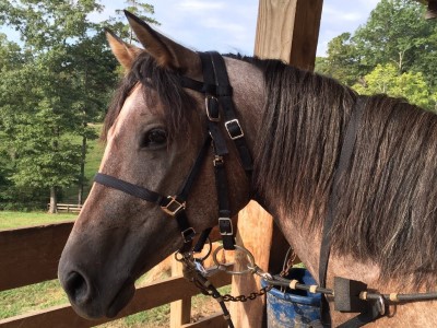 Things To Do BLANCHE MANOR